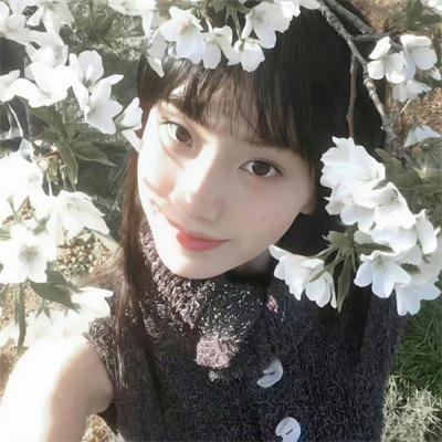 少数派报告